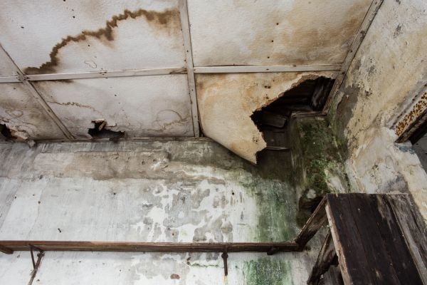 Water Damage Service in Snohomish
