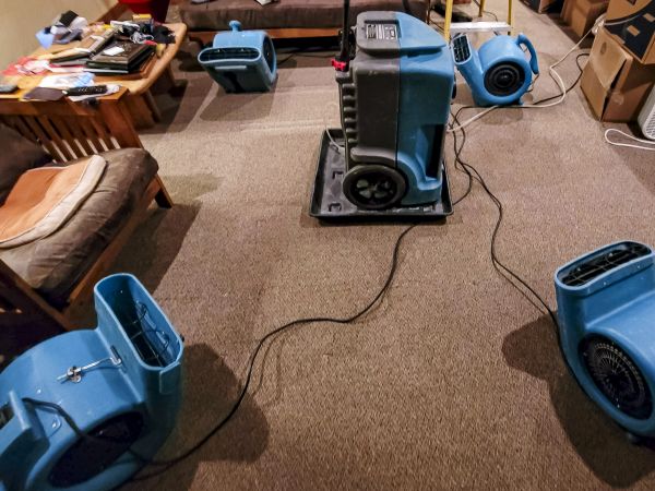 Flood Damage Recovery in Snohomish