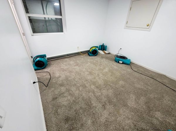 Flood Restoration Service in Snohomish