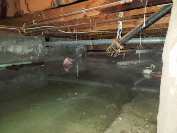 Water Mitigation Service in Snohomish