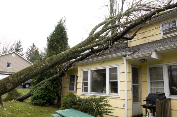 Hurricane Damage Repair in Snohomish