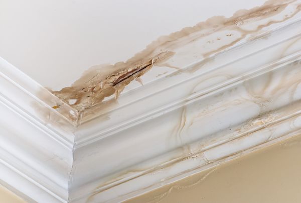 Water Damage Recovery in Snohomish