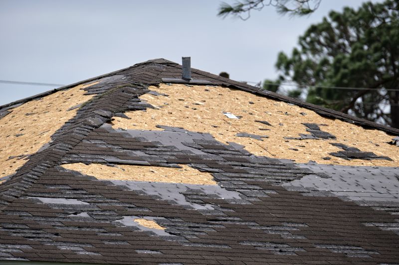 Damaged Roofing