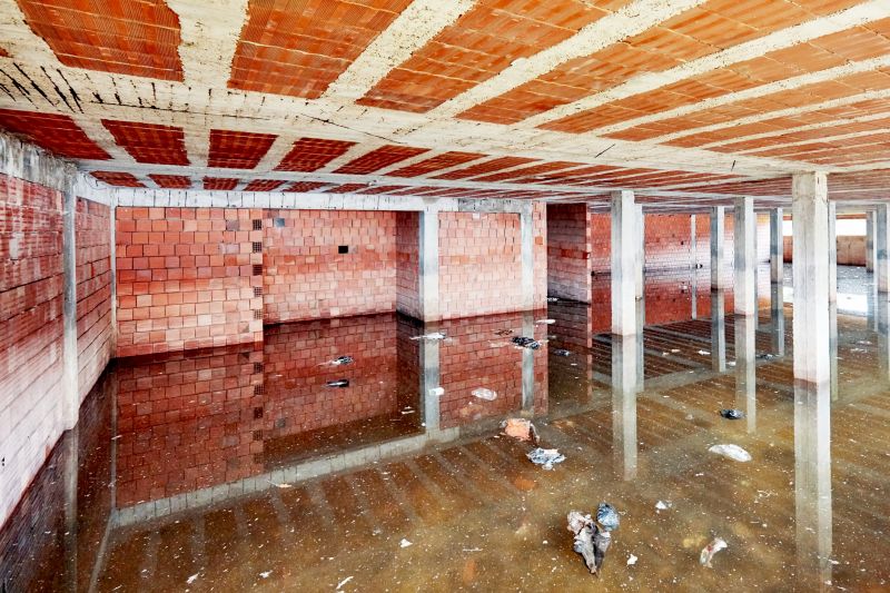 Flooded Basement